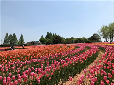 初めまして！！　教員養成私塾「鍛地頭－たんじとう－」です！！