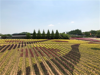 初めまして！！　教員養成私塾「鍛地頭－たんじとう－」です！！