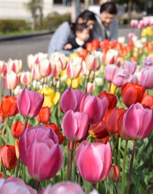 「学ぶこと」、「まねること」、「参加すること」